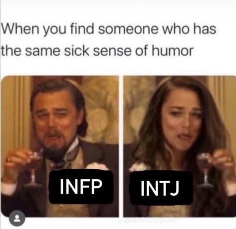 Infj Istp, Entj Infp, Intj Entp, Infp Infj, Intj Humor, Mbti Intj, Intj Enfp, Food Jokes, Mbti Type