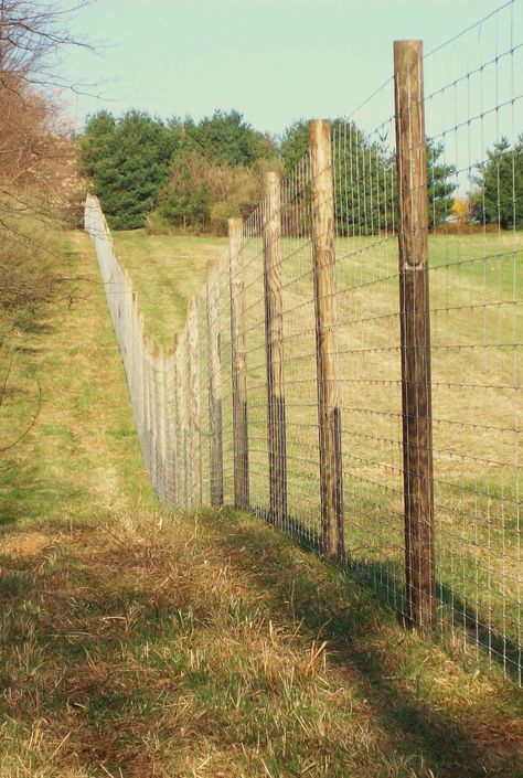 Estate Fence, Animal Farms, Large Yard Landscaping, Farm Fences, Deer Fencing, Farm Fencing, Livestock Fence, Agricultural Fencing, Deer Farm