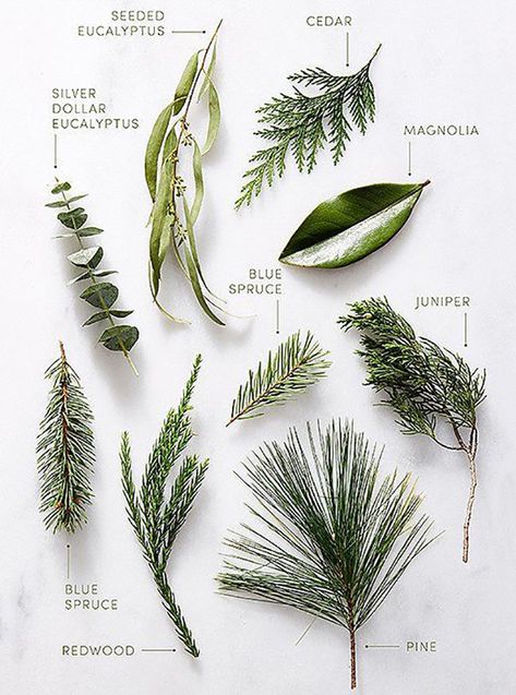 Fun Wedding Decor, Greenery Arrangements, Holiday Greenery, Winter Wedding Decorations, Christmas Greenery, Wedding Winter, Deco Floral, Arte Floral, Trendy Wedding