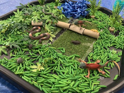 Rainforest Eyfs Activities, Safari Messy Play, Messy Play Birthday Party, Jungle Messy Play Ideas, Animal Messy Play, Messy Play Party, Jungle Messy Play, Messy Play Themes, Animals Eyfs Activities