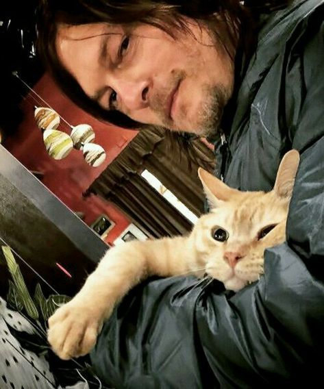 norman reedus Darrel Dixon, Norman Reedus Cat, Darryl Dixon, Melissa Mcbride, Walking Dead Cast, Stuff And Thangs, Rick Grimes, Cat People, Daryl Dixon