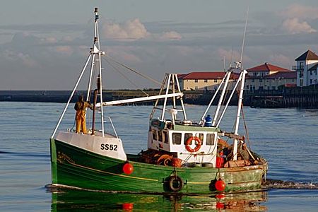 Boat Images, Fisherman Boat, Marine Diesel Engine, Working Boat, Fishing Vessel, Old Boats, Boat Art, Boat Painting, Used Boats