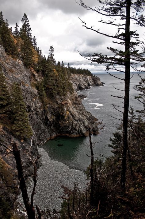 The Bold Coast | The Bold Coast in Cutler, Maine. One of Mai… | Flickr Nature, East Coast America, Maine Woods Aesthetic, Northeast Coast Aesthetic, East Coast Canada Aesthetic, Almost Maine Set Design, Maine Usa Aesthetic, Maine Coast Aesthetic, Coast Of Maine