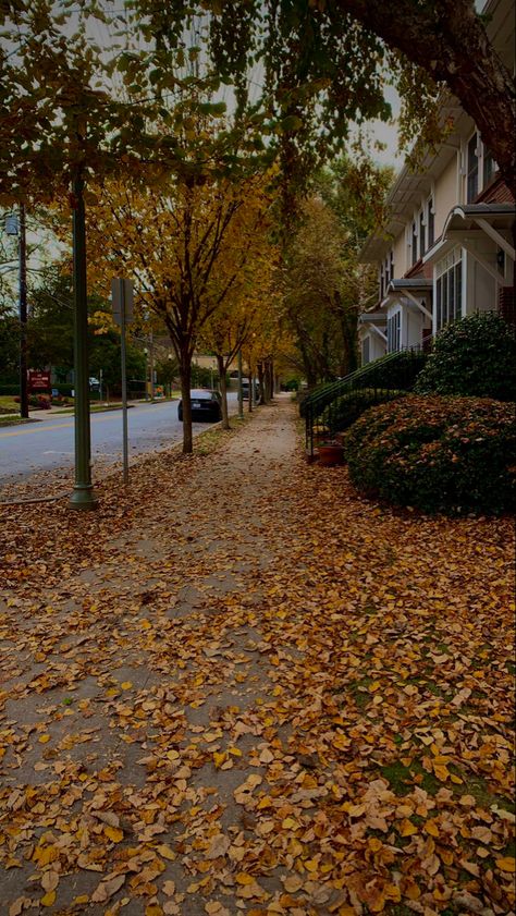 Autumn Street, Fall Camping, Pumpkin Spice Season, Autumn Scenes, Halloween Wallpaper Iphone, Autumn Scenery, Fall Feels, Seasons Of The Year, Autumn Vibes