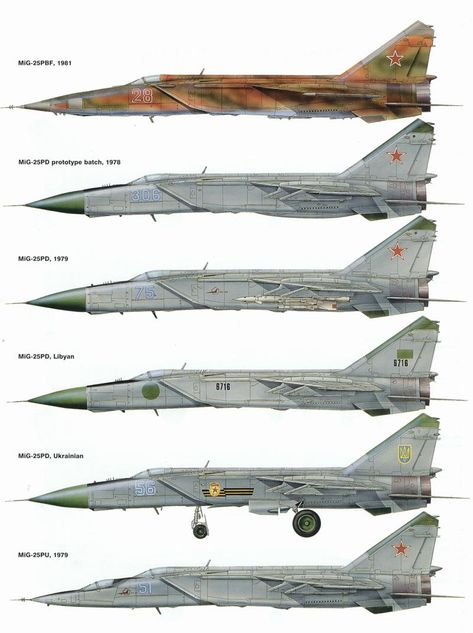 Mig 25 Foxbat, Mig Fighter, Russian Jet, Russian Air Force, The Soviet Union, Military Jets, Aircraft Art, The Fox And The Hound, Nose Art