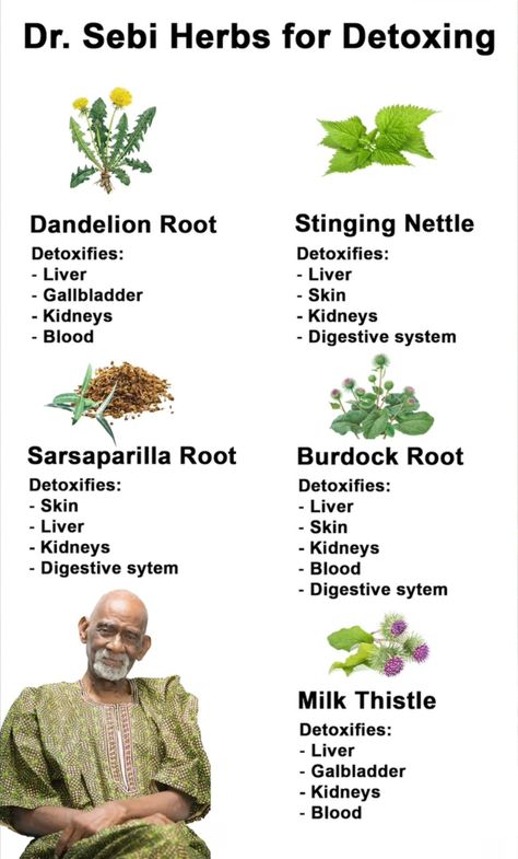 Fred’s Farm | Herbs (@FredsFarm247) on X Herbs For Energy, Cleansing Herbs, Herbal Education, Herbal Remedies Recipes, Fertility Health, Tea Health Benefits, Detox Tips, Essential Oil Blends Recipes, Natural Healing Remedies