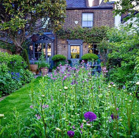 Brick Raised Beds, Meadow Garden, A Night At The Opera, London Garden, Wildflower Meadow, Gardening Books, Wildflower Garden, Free Plants, Garden Borders