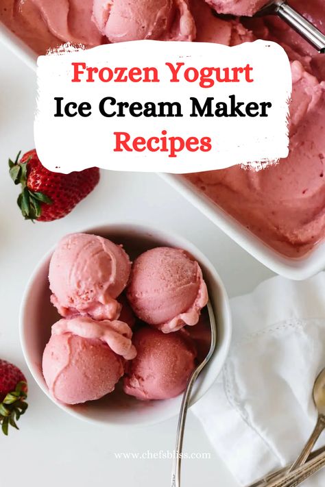 12+ Best Frozen Yogurt Ice Cream Maker Recipes to Try Now! Making Sorbet Without Ice Cream Maker, Frozen Yogurt Recipes For Ice Cream Maker, Frozen Yogurt Cuisinart Ice Cream Maker, Frozen Yogurt Recipes Machine Cuisinart, Pampered Chef Frozen Yogurt Recipe, Hamilton Beach Ice Cream Maker Recipes, Frozen Yogurt Ice Cream Recipe, Homemade Frozen Yogurt Bars, Frozen Yogurt Recipes Ice Cream Maker