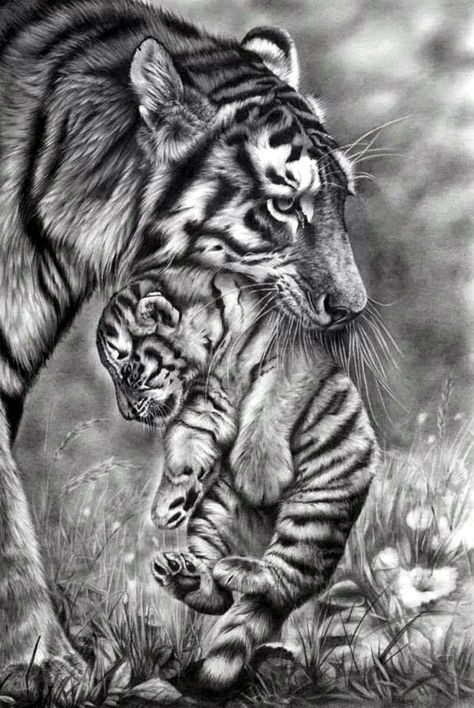 Pencil Drawing Inspiration, Tiger Sketch, Pencil Drawings Of Animals, Drawing Simple, Charcoal Art, Sketches Tutorial, Portrait Sketches, Charcoal Drawing, Drawing Artwork