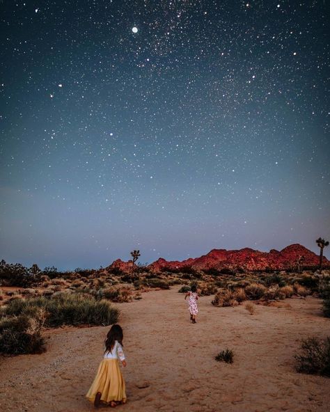 The beauty of the desert night sky in Joshua Tree Park, California. #travel #wanderlust #california #roadtrip #parks #nationalparks #nationalpark #joshuatree #joshuatreenationalpark #joshuatreepark Desert Life Aesthetic, Night In The Desert, Night Desert Photoshoot, Joshua Tree Night, Desert Lifestyle, Desert Photoshoot, Desert Palm, Desert Aesthetic, Desert Photography