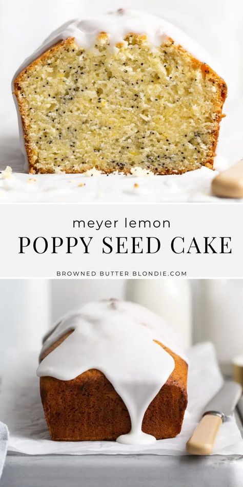 Meyer Lemon Poppyseed Bread, Easy Lemon Poppyseed Cake, Lemon Poppy Seed Loaf Recipe, Best Lemon Poppyseed Cake, Lemon And Poppy Seed Loaf, Poppy Seed Baking, Poppy Lemon Cake, Lemon Poppy Loaf, Lemon Poppyseed Loaf Cake