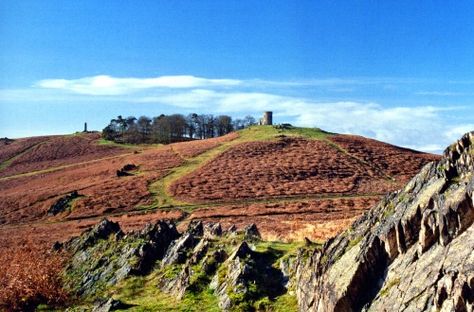 Bradgate Park Landscape, Leicester, England England's Countryside, Culture Of England, Bradgate Park, James Carter, Leicester England, England Countryside, Warwick Castle, Rule Britannia, Park Landscape