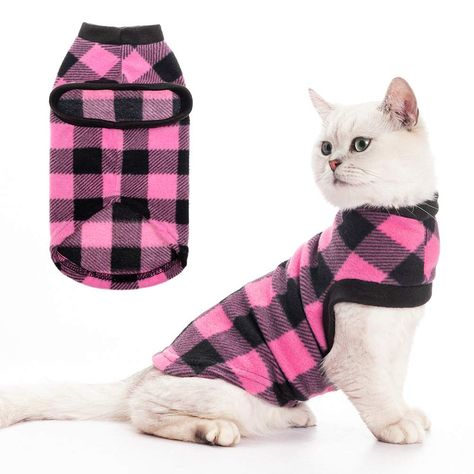 Outfits For Cats, Fat Cats Funny, Vest Clothes, Puppies Small, Soft Vest, Cat Sweater, Cat Fashion, Cat Dresses, Cat Sweatshirt