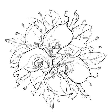 Calla Flower, Tree Frog Tattoos, Lilies Drawing, Lily Flower Tattoos, Calla Lily Flower, Botanical Line Drawing, Round Bouquet, Fancy Flowers, Flower Drawing Tutorials