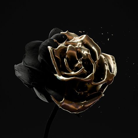 Roses Are Dead – Vol. 4 “Black and Gold” on Behance Black And Gold Aesthetic, Fashion Background, Black Phone Wallpaper, Mood And Tone, Gold Aesthetic, Gold Background, Custom Icons, Gold Wallpaper, Black Aesthetic Wallpaper