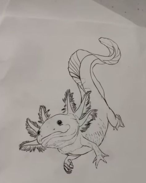 Draw Axolotl, Animal Drawings Sketches, Arte Inspo, Arte Sketchbook, Art Drawings Sketches Creative, Animal Sketches, Art Tutorials Drawing, Art Drawings Sketches Simple, Cool Art Drawings