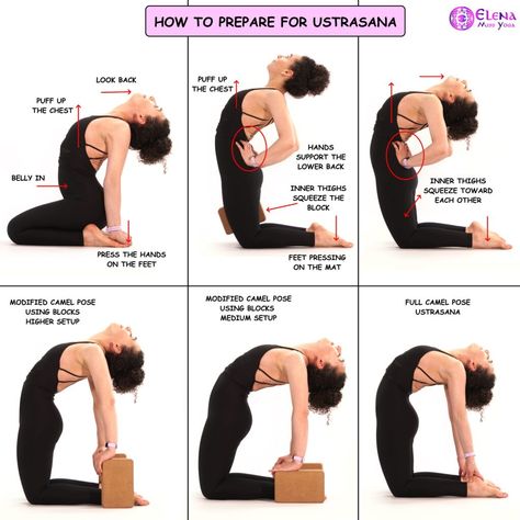 Camel Pose Yoga, Camel Pose, Yoga Beginners, Easy Yoga Workouts, Yoga Block, Daily Yoga, Yoga Health, Yoga Postures, Yoga Training