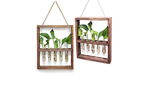 et of 2 Wall Hanging Planters Test Tube Flower Bud Glass Terrarium Wooden Frame with 5 Test Tube : Amazon.ca: Patio, Lawn & Garden Hanging Glass Planters, Hanging Wall Vase, Test Tube Vase, Propagation Station, Plant Room, Water Wall, Spirit Art, Hydroponic Plants, Wooden Rack