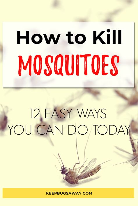 Kill Mosquitos In House, Gnats In Kitchen, Backyard Mosquito Repellent, Homemade Mosquito Spray, Yard Hacks, Mosquito Repellent Homemade, Diy Mosquito Repellent, How To Get Rid Of Gnats, Bug Repellant