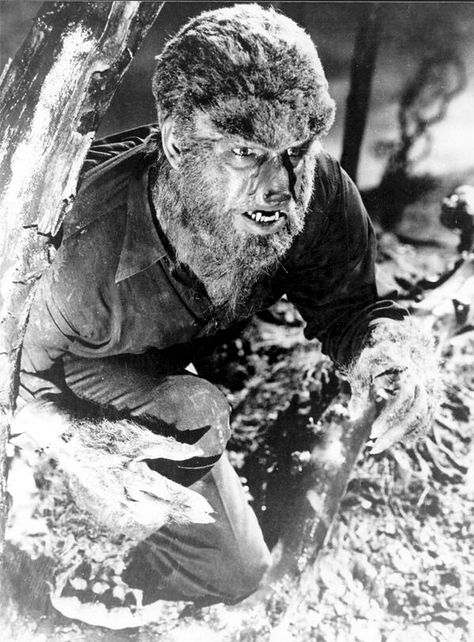 Lon Chaney Jr. in "The Wolf Man" (1941) The Wolf Man, Classic Monster Movies, Lon Chaney Jr, Wolf Man, Lon Chaney, The Creeper, Septième Art, Famous Monsters, Horror Monsters