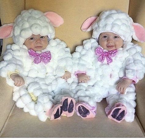 Babies Baby Sheep Costume, Sheep Costumes, Twin Halloween, Twin Halloween Costumes, Baby Kostüm, Baby Sheep