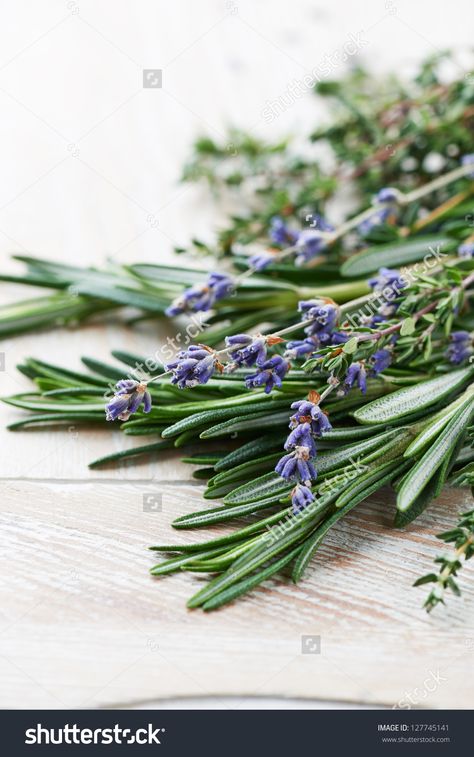 Lavender Hair, Homemade Conditioner, Conditioner Recipe, Homemade Shampoo, Sage Essential Oil, Geranium Essential Oil, Tea Tree Essential Oil, Homemade Remedies, Diy Body