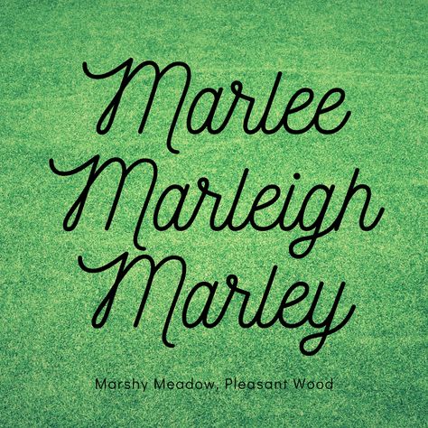 Marley Name, Nature Inspired Names, Name Boards, Baby Name, Girl Names, Kelly Green, Baby Names, Nature Inspired