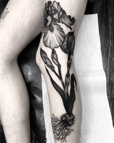 “ITS SUNDAAAY! This is Bee's absolutely massive bearded iris (rey). I can't fit it all in, but thank you for being perfect, letting me do such awesome…” Iris Flower Tattoo, Iris Tattoo, Finger Tattoo For Women, Full Back Tattoos, Being Perfect, Go Big Or Go Home, Body Suit Tattoo, Tattoo Designs And Meanings, Bearded Iris