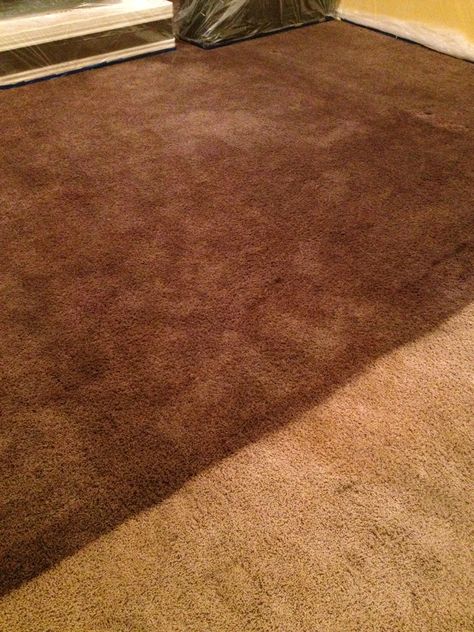 How To Rip Up Carpet Diy, How To Dye Carpet, Dye Carpet Diy, Rit Dye Area Rug, Dye Carpet With Rit, Dyeing Carpet With Rit, Rit Pearl Grey Fabric Dye, Beige Carpet Bedroom, Dye Carpet