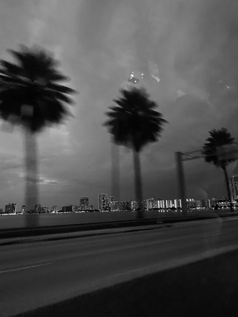 Miami Black And White Aesthetic, Dark Miami Aesthetic, Miami Mood Board, Miami Black And White, Summer Apps, Good Night Honey, Miami Pictures, Miami Aesthetic, Miami Nights