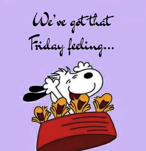 Snoopy Friday, Tgif Funny, Peanut Gang, Happy Tuesday Quotes, Funny Friday Memes, Happy Wednesday Quotes, Good Morning Friday, Happy Friday Quotes, Friday Quotes Funny