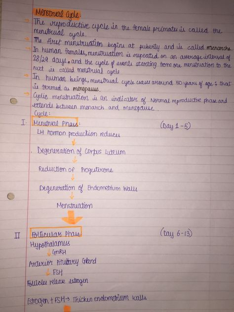 This pin contains notes on the menstrual cycle. Check out my board for the continuation on the menstrual cycle. #biology #notes Menstrual Cycle Class 12, Menstrual Cycle Biology Notes, Menstrual Cycle Diagram, Bio Class 12 Notes, Menstrual Cycle Notes, Human Reproduction Notes Class 12, Human Reproduction Notes, Neet Exam Notes, Class 12 Biology Notes