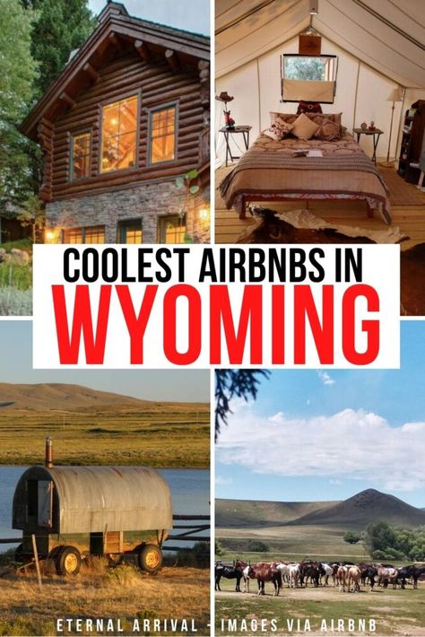 Where To Stay In Cody Wyoming, Living In Wyoming, Wyoming Living, Wyoming Travel Road Trips, Airbnb Unique, Wyoming Camping, Wyoming Jackson Hole, Wyoming Cabin, Unique Airbnbs