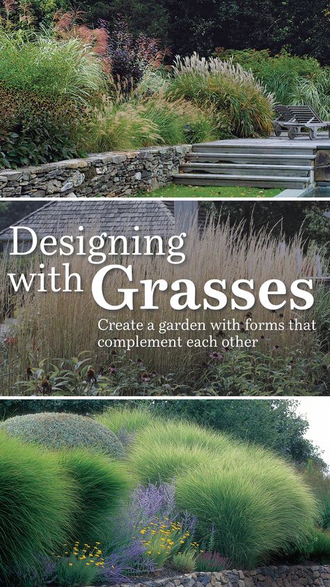 Ornamental Grasses, Ornamental Grass Landscape, Landscaping Simple, Grasses Landscaping, Grasses Garden, Rock Garden Landscaping, Landscaping Design, Garden Landscape Design, Easy Garden