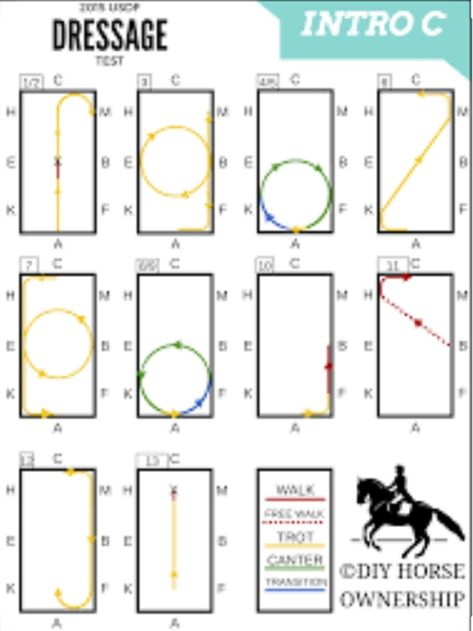 Horse Jumping Exercises, Dressage Tests, Dressage Exercises, Horseback Riding Tips, Horseback Riding Lessons, Horse Lessons, Horse Information, Dressage Training, Horse Exercises