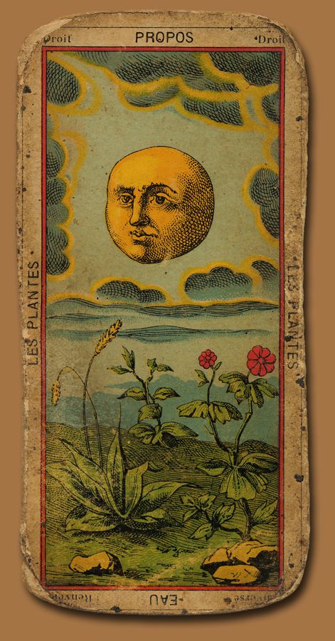 so it's a tarot card...but I love that it has Plantain on it!! If anybody knows the other flower pictured...please share! Kartu Tarot, Vintage Tarot Cards, Vintage Tarot, Tarot Cards Art, Art Carte, Tarot Art, Major Arcana, Old Book, Moon Art