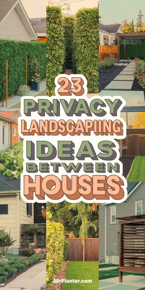 Image of unique privacy landscaping ideas between houses with innovative screens and lush plants. Outdoor Privacy Trees, Property Border Ideas, Privacy Plants In Pots Patio, Backyard Neighbor Privacy, Backyard Design Ideas Landscaping, Outdoor Patio Privacy Screen Ideas, Privacy Ideas For Front Yard, Plants For Privacy Fence Backyards, How To Design Landscaping