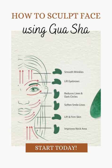 Sculpt your face today with a Gua Sha, just 1x a day, see results in just a week Perfect your skin care. Get the best skin of your life. Shape Jawline, For Jawline, Skincare Knowledge, Perfect Jawline, Facial Exercise, Reduce Eye Bags, Facial Tools, Body Diagram, Gua Sha Massage