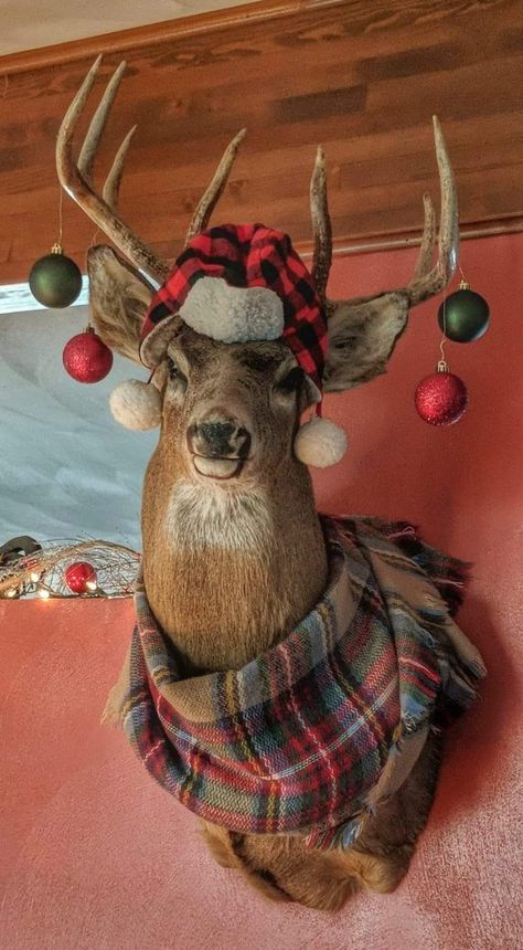 Christmas Decorated Antlers, Decorating With Antlers For Christmas, Frame Around Deer Mount, Antlers In Christmas Tree, Antler Christmas Tree Decorations, Rustic Deer Christmas Tree, Moose Taxidermy Mounts, Antlers Christmas Decor, Wreath Around Deer Mount