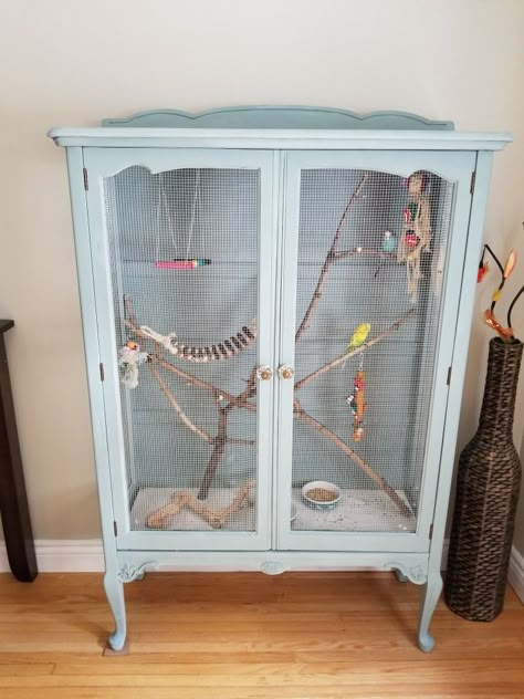 My very first DIY indoor aviary that I repurposed from an old china cabinet. Branches are natural from the trees in my backyard. Bird Avery, Indoor Aviary, Old China Cabinet, Bird Cage Ideas, Diy Bird Cage, Budgie Cage, Parakeet Cage, Diy Bird Toys, Budgie Toys