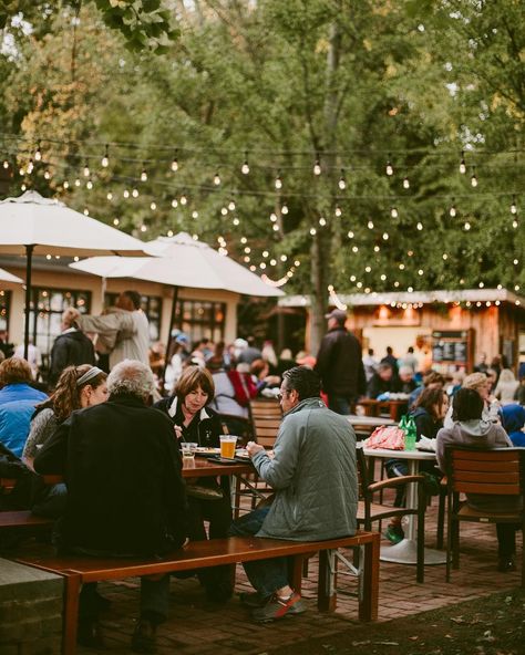 Restaurant In Garden, Pub Beer Garden, Beer Garden Aesthetic, Cozy Brewery, Outdoor Brewery, Beer Aesthetics, Fall Hangout, Wildflower Cafe, Beer Garden Design