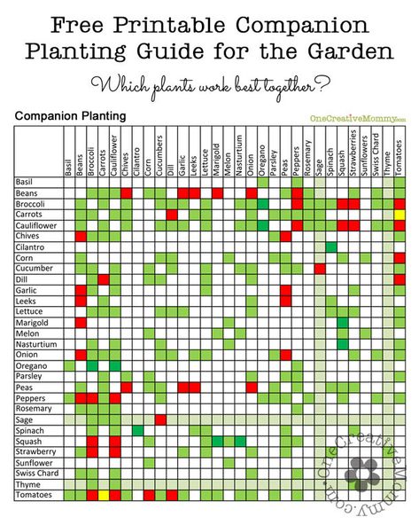 Rosemary Garden, Companion Planting Guide, Companion Planting Chart, Gardening For Dummies, Companion Gardening, Garden Companion Planting, Diy Garden Trellis, Growing Tomatoes In Containers, Planting Guide