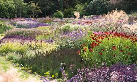 Catch my drift: a garden designed by Piet Oudolf, in western Ireland. Photograph: Piet Oudolf Trees, Landscape Designs, Architectural Digest, Garden Design, Piet Oudolf, Latest Books, Pumpkin Patch, A Garden, Landscape Design