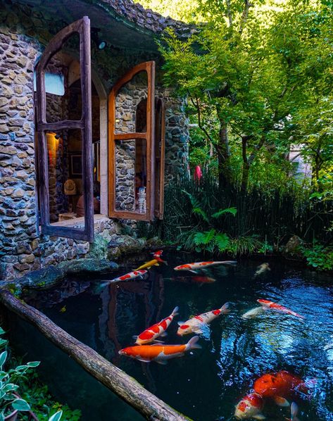 🍄Deep in the woods of Akiruno hides itself a small fairy tale house 🍄 🧚‍♂️Fukusawa small art museum is an art space where you can see a doll exhibition of the artist Akimitsu Tomonaga. 🌿The main highlight of the museum are the koi fish ponds. These koi fish are huge! 🍀The museum also offers drinks, coffee and tea, with a complimentary dessert. 💚You can enjoy your drink together with a lovely view of the pond and surrounding forest. 🍁The whole place looks like a fairy tale house but be ca... Koi Fish Pond Backyard, Coy Pond, Fairy Tale House, Deep In The Woods, Drinks Coffee, Koi Fish Pond, Fish Ponds, Fish Pond, A Fairy Tale