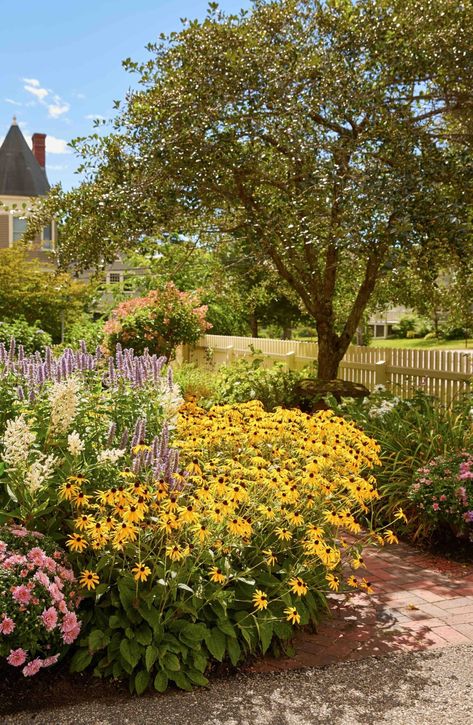 A creamy white picket fence and a cottage garden amp up this Maine home's curb appeal. The garden—which is bursting with black eyed Susan's, purple sage, native grasses, and other perennials—is neatly sliced by a brick paver pathway that leads up to the home's front door. Dark Window Treatments, Fence Brick, Native Grasses, Village Home, Purple Sage, Commercial Landscaping, Day Lilies, White Picket Fence, Brick Pavers