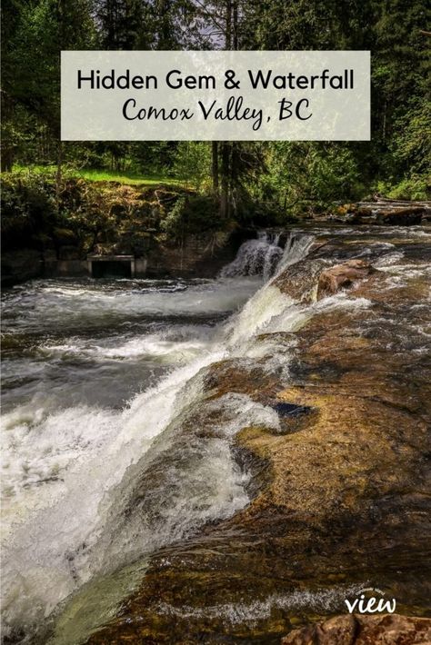 Comox Valley Hidden Gem Comox Valley Vancouver Island, Comox Bc, Comox Valley, Island Destinations, Beautiful Forest, Seaside Towns, Get Outdoors, Hidden Gem, Vancouver Island