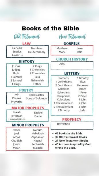 Bible Chapters To Read In The Morning, How To Memorize Books Of Bible, What To Read In The Bible When Feeling, Highlighting Bible Guide, How To Read The Bible, Bible Study Guide For Beginners, Bible In Order, Faith Relationship, Bible Infographics