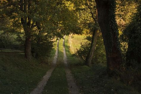 Breathing Fire, Dirt Road, Samar, Nature Aesthetic, Pretty Places, Minimalist Poster, Photography Inspo, Farm Life, Pretty Pictures