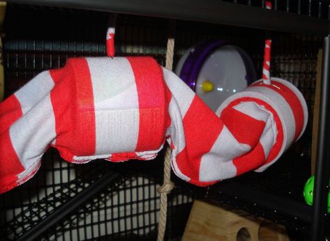 Pringles Can Tunnel Hammock Ferret Diy, Diy Rat Toys, Pet Rat Cages, Rattus Rattus, Rat Cage Accessories, Ferret Toys, Rat Hammock, Rat Toys, Hamster Care