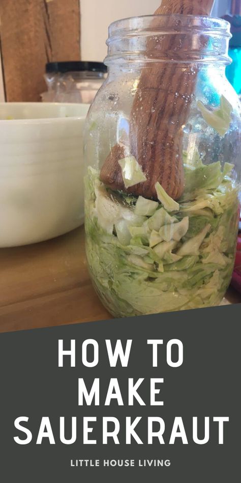 Did you grow cabbage in your garden this year? Here's a yummy way to preserve it by learning how to make Sauerkraut! #sauerkraut #homemadesauerkraut #canningcabbage #cabbage #cannningandpreserving Canning Cabbage, Grow Cabbage, Raw Sauerkraut, Make Sauerkraut, Making Sauerkraut, Fermented Sauerkraut, Homemade Sauerkraut, Fermented Cabbage, Sauerkraut Recipes